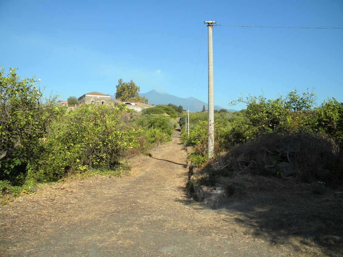 DSCN8141 .JPG